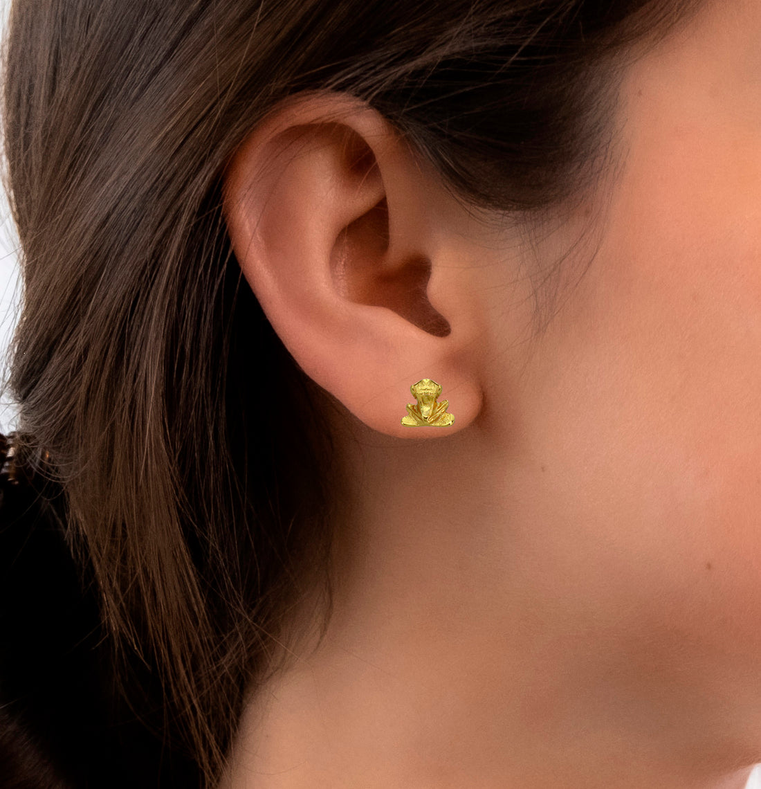 Sitting Frog Stud Earrings