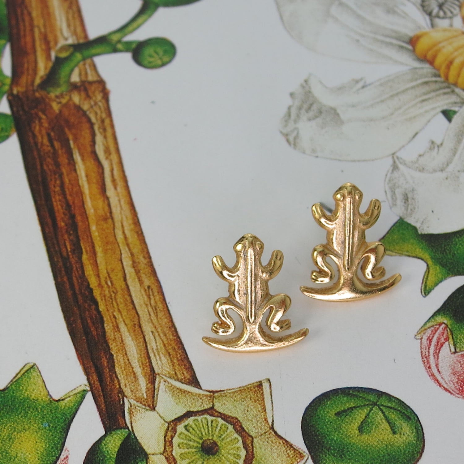 Frog Sitting in a Crescent Moon Earrings