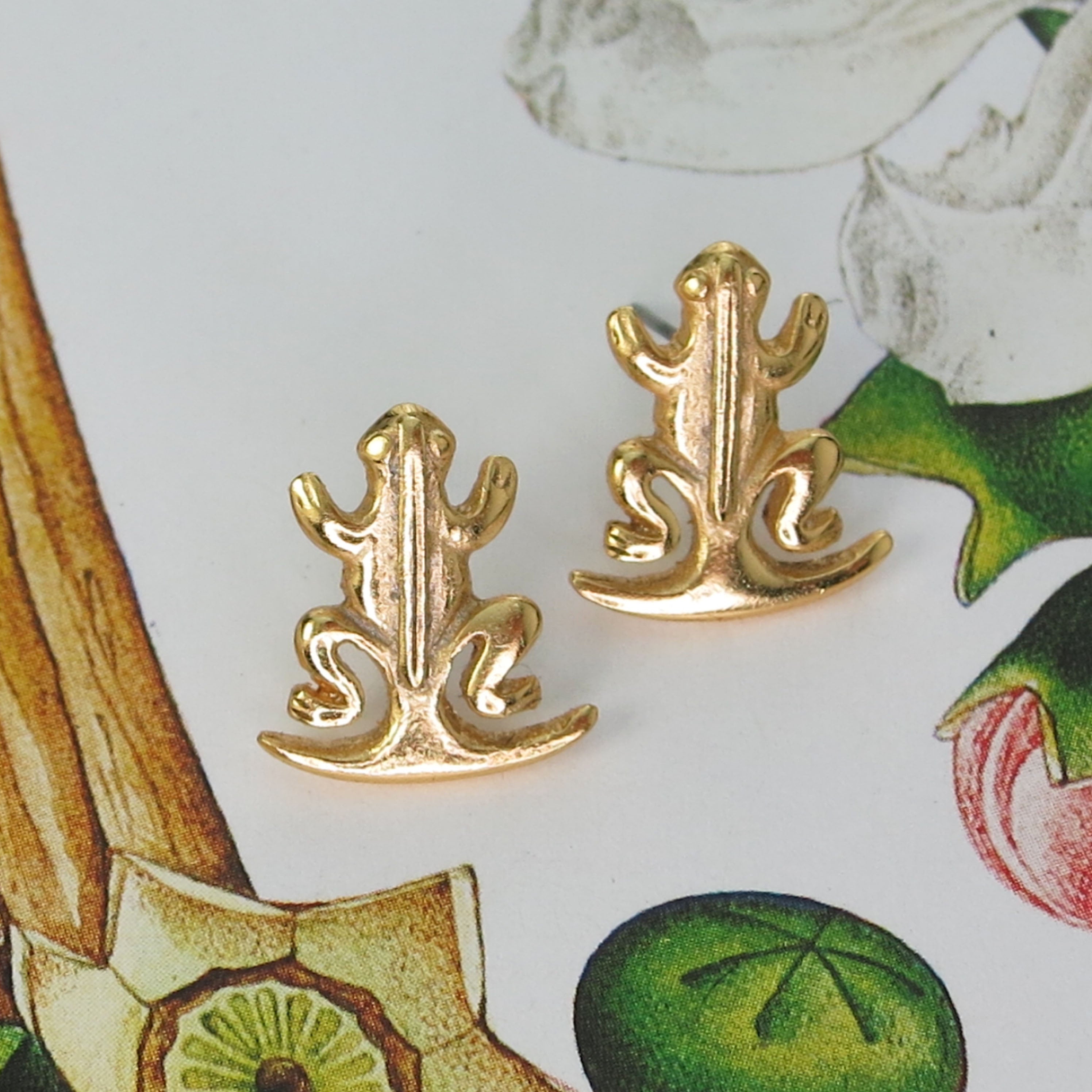 Frog Sitting in a Crescent Moon Earrings