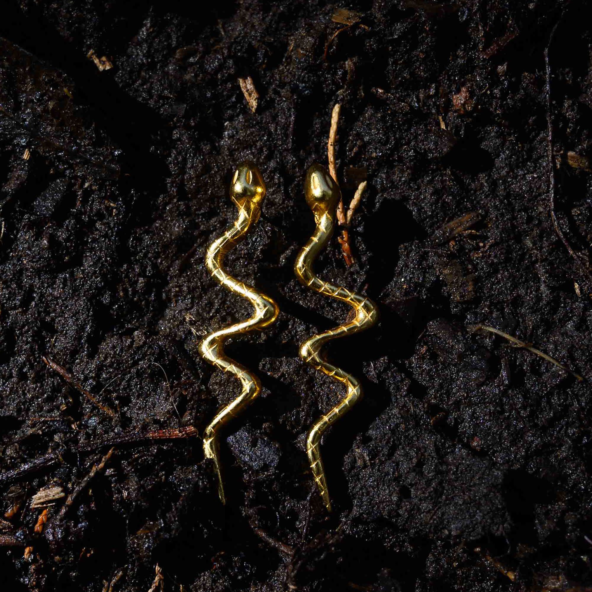 Zig-Zag Snake Earrings