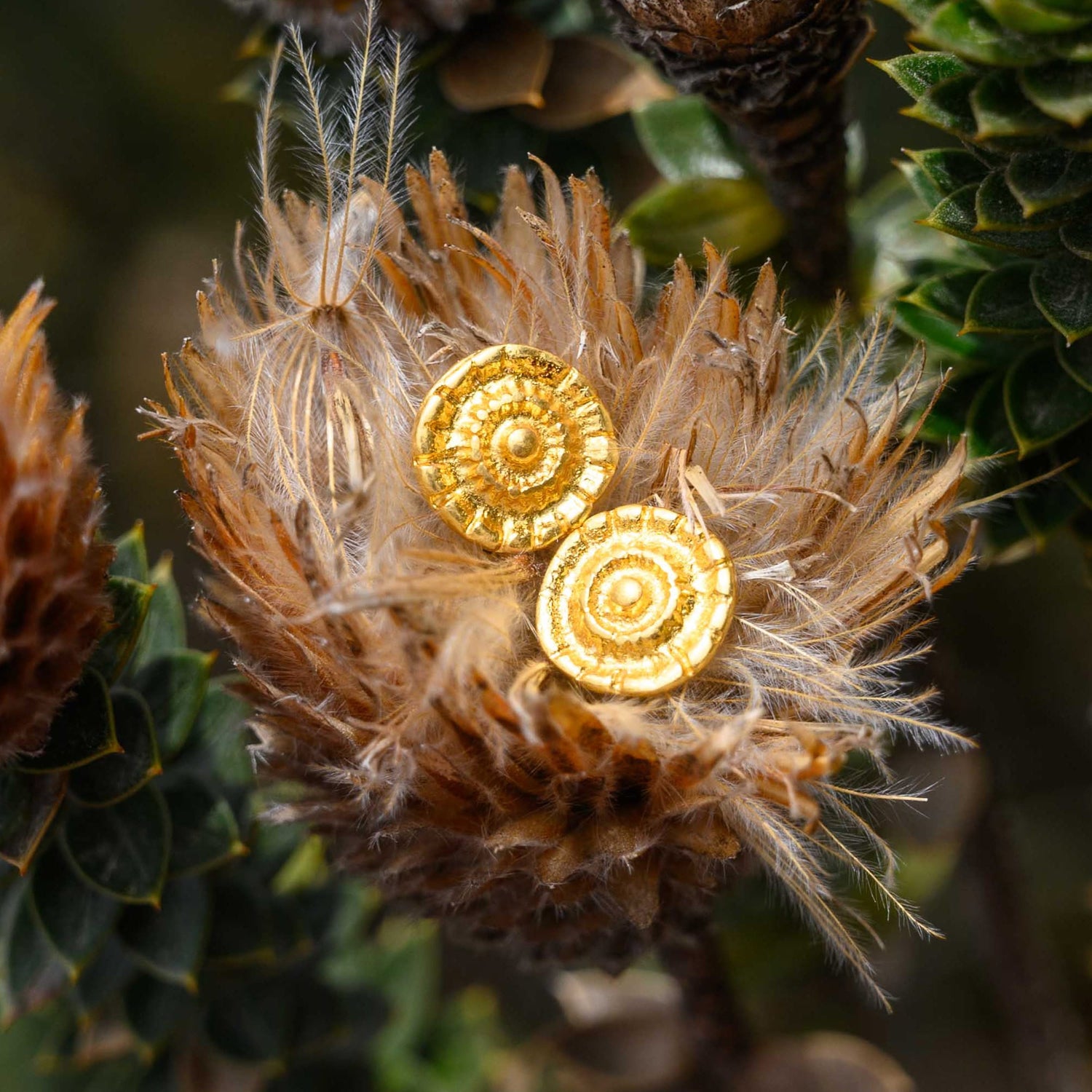 Embossed Round Button Earrings