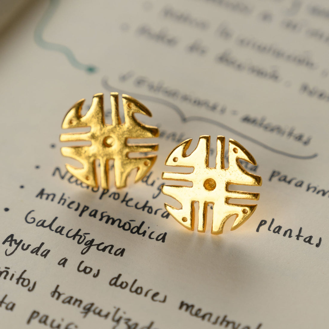 Gold Coin Earrings