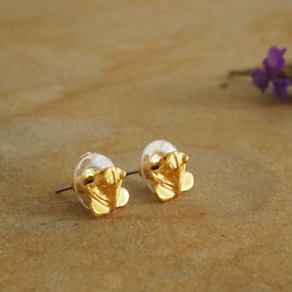 Sitting Frog Stud Earrings