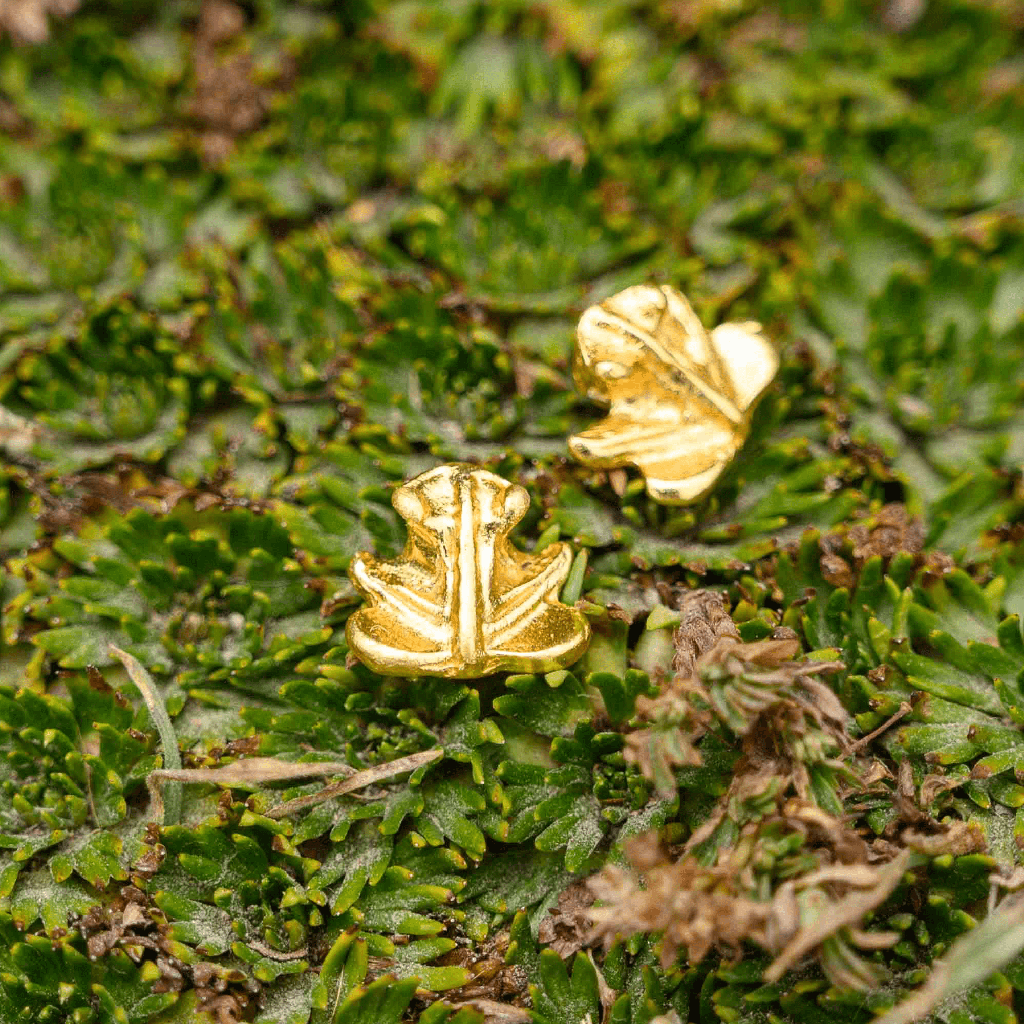 Sitting Frog Stud Earrings