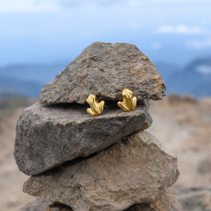 Staring Frog Earrings