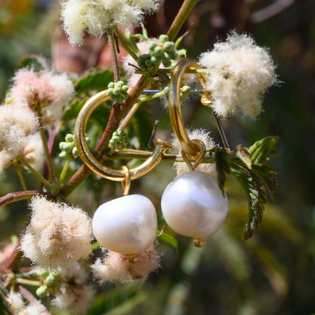 Cultured Pearl Hoop Earrings